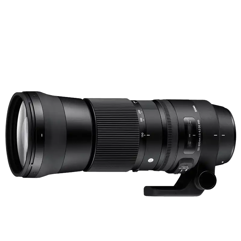 Sigma 150-600mm f/5-6.3 DG (pre Nikon)