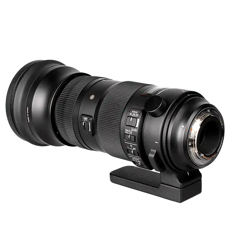 Sigma 150-600mm f/5-6.3 DG (pre Nikon)