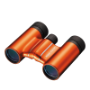 Nikon Aculon 10x21 T01