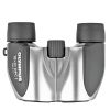 Olympus 10x21 DPC I