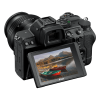 Nikon Z 5 + Nikkor Z 24-50