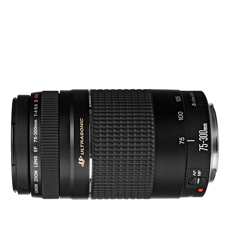 Canon ef 75 300mm f4 5.6