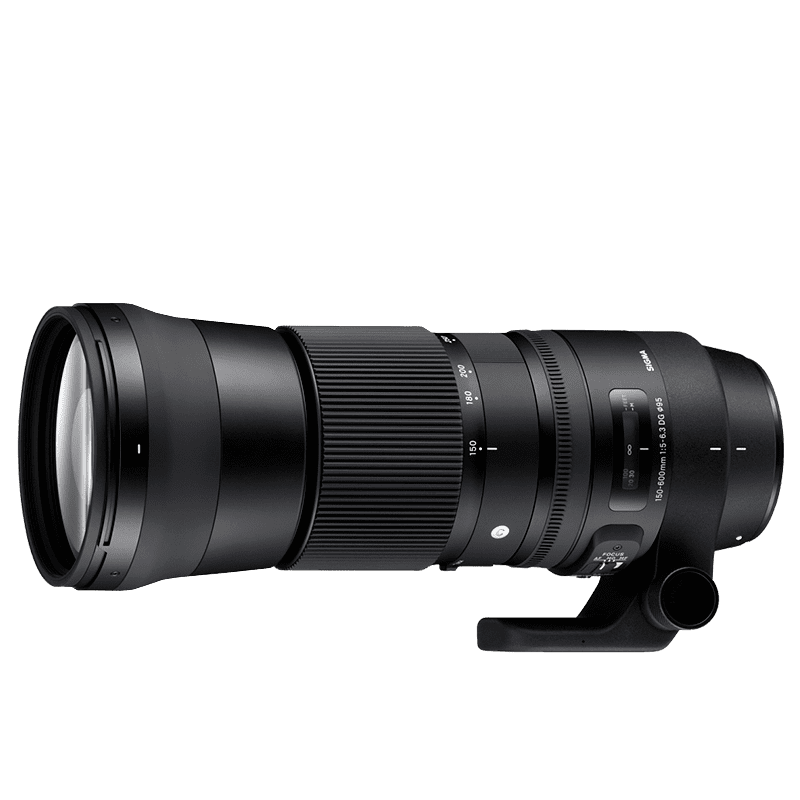 Sigma 150-600mm f/5-6.3 DG (pre Nikon) Sigma 150-600mm f/5-6.3 DG (pre Nikon)