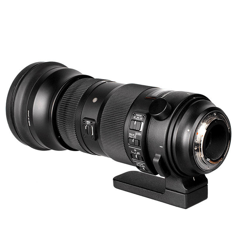 Sigma 150-600mm f/5-6.3 DG (pre Nikon) Sigma 150-600mm f/5-6.3 DG (pre Nikon)
