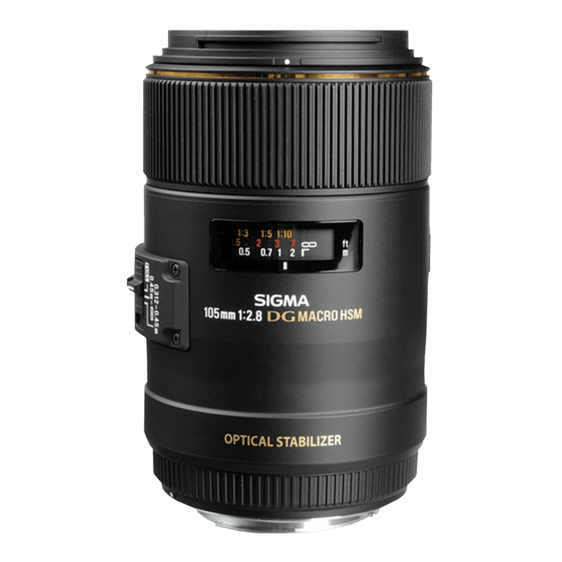 Sigma 105mm f/2.8 EX DG Macro OS (pre Nikon)