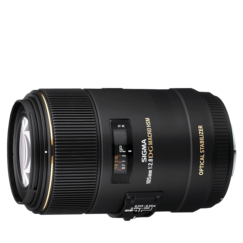 Sigma 105mm f/2.8 EX DG Macro OS (pre Nikon)