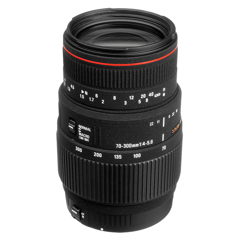Sigma 70-300mm f/4-5.6 APO DG Macro (pre Canon)