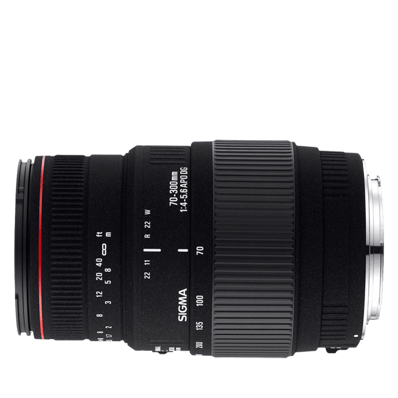 Sigma 70-300mm f/4-5.6 APO DG Macro (pre Canon)