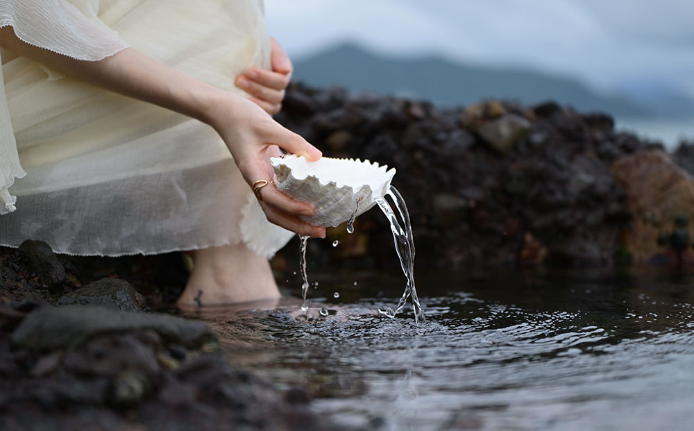 detail nikkor z 24-70 ii