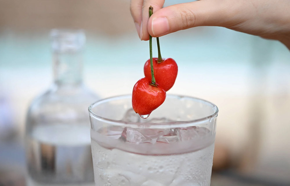 makro fotografia nikkor z 24-70 ii